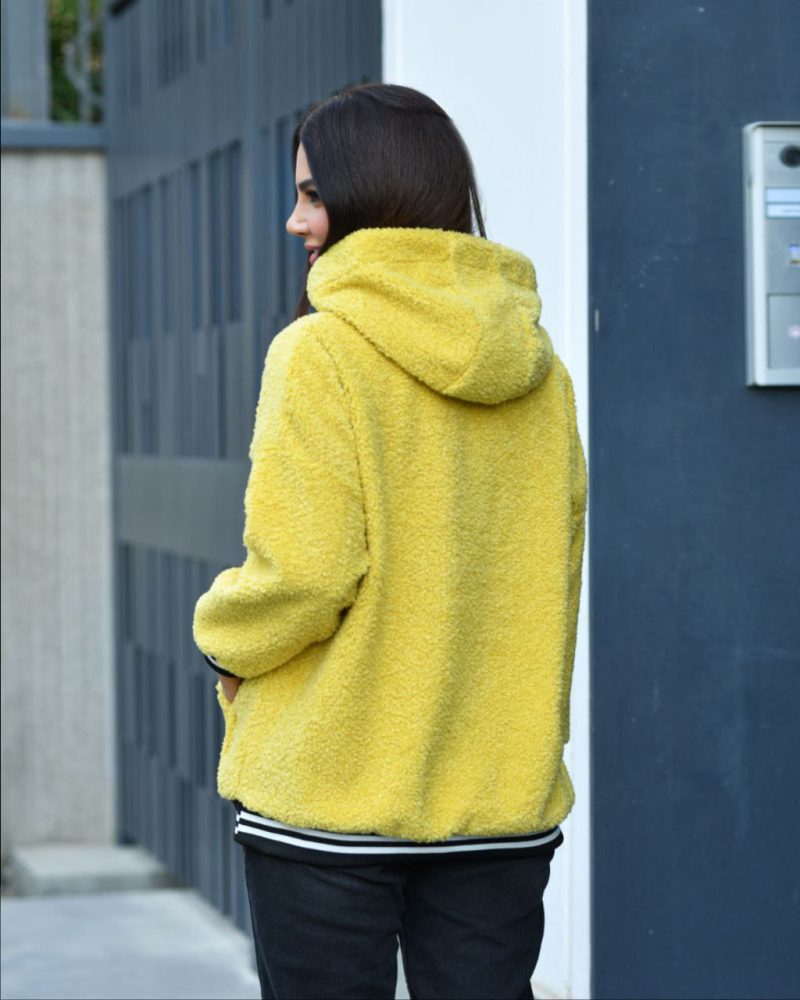 هودی پاییزی تدی